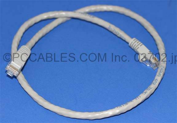 2FT CAT6 RJ45 Network Cable
