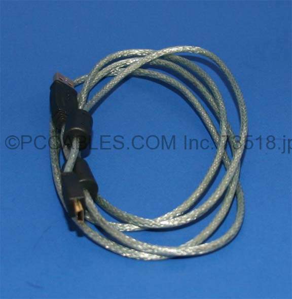 Argus-Mustek Camera Cable Mini-B D1 6ft