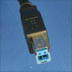 USB 3.0 B Male Connector