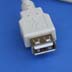 USB A Female Connector