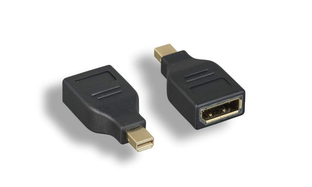 Mini DisplayPort To DisplayPort Adapter DP