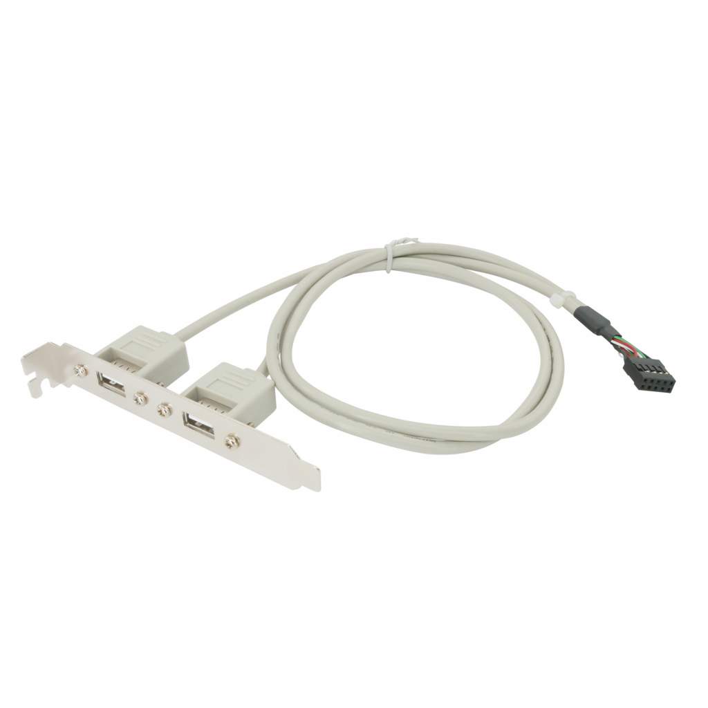 USB-A Dual External Port to MAINBOARD Port 24in 2x5 Pin Bracket Cable