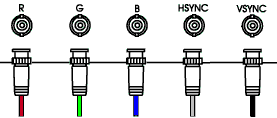 5 BNC Male Connector