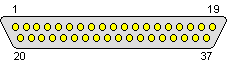 DB37 Male Connector