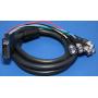 DVI-A to BNC Cable Ferrite 6FT