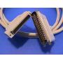 6FT SCSI-III HPDB68-M TS to SCSI-I CN50-M Data Cable