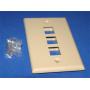 KEYSTONE Wall Plate 3-Hole Ivory