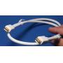 Mini-DisplayPort DP Male-Male 10FT